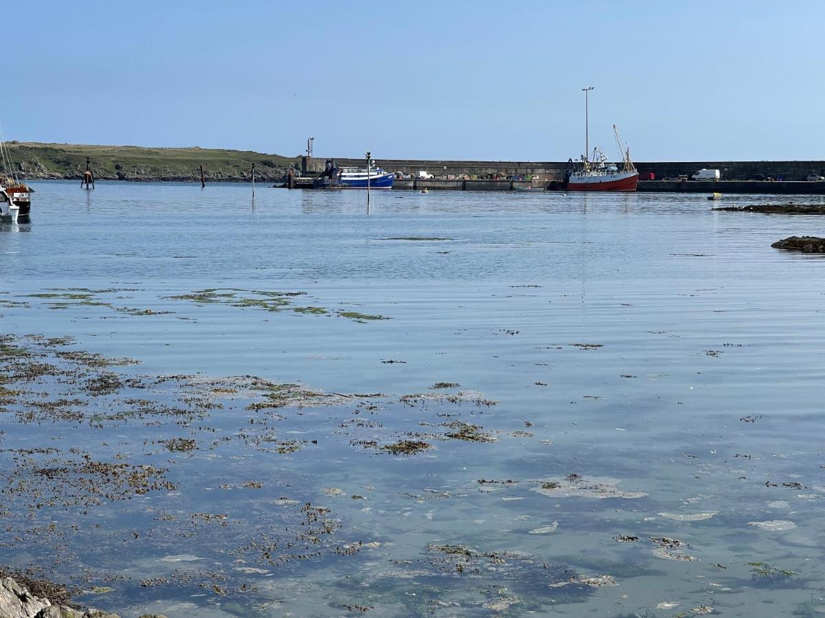 Lovely Apartment Overlooking The Harbour And Bay Ardglass Eksteriør bilde