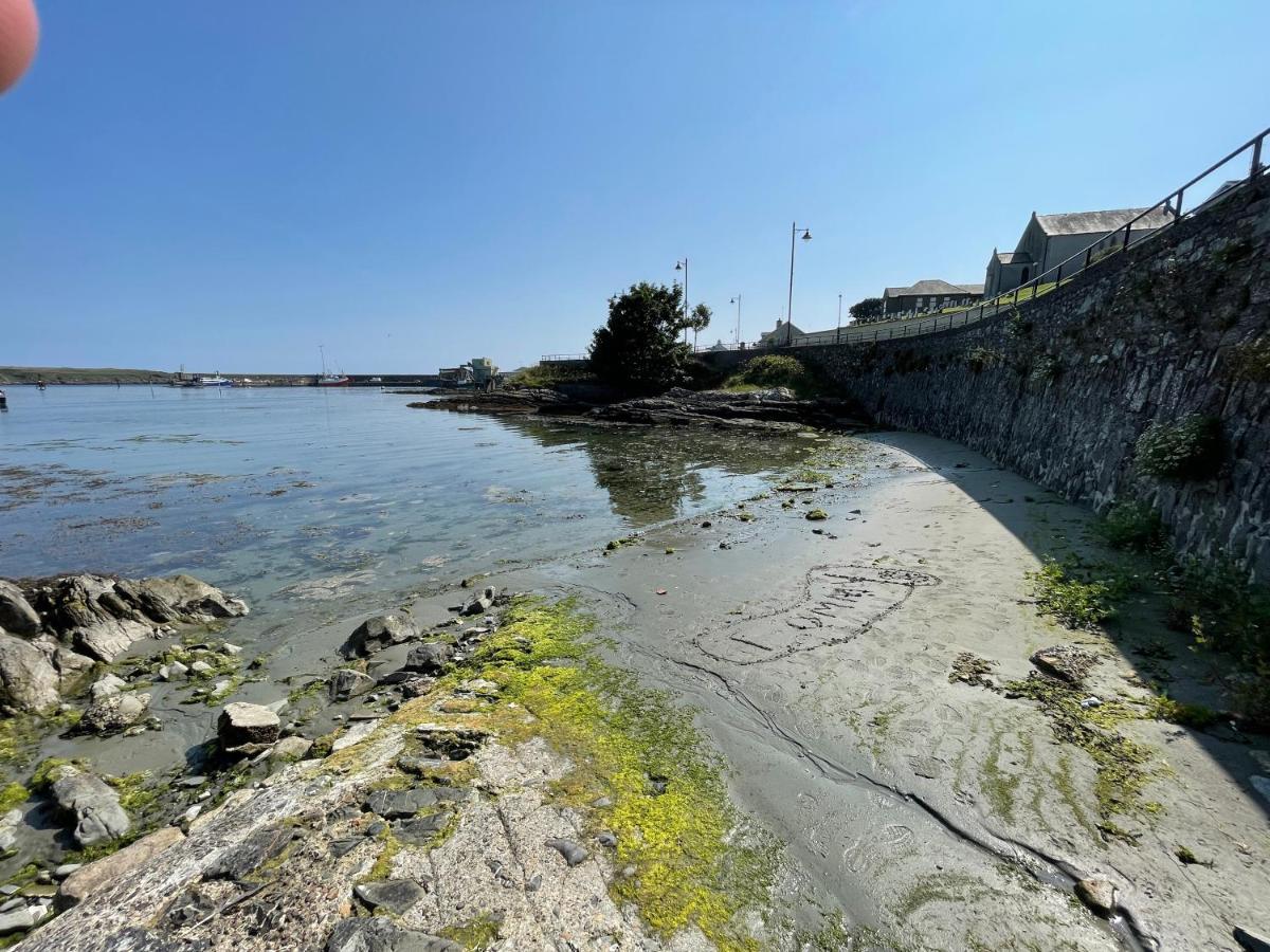 Lovely Apartment Overlooking The Harbour And Bay Ardglass Eksteriør bilde